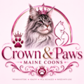Crown And Pawns MaineCoon Kittens